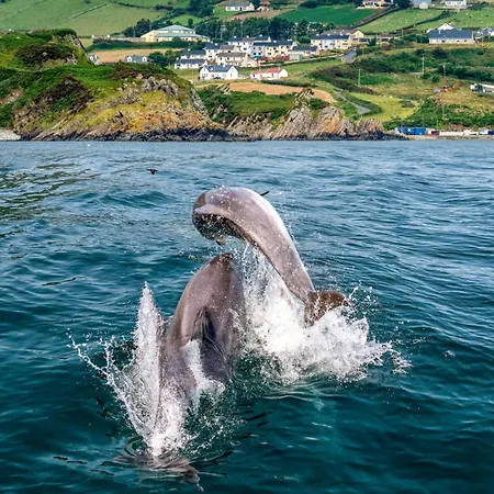 Lochview House - 3 Bed Casa de Férias